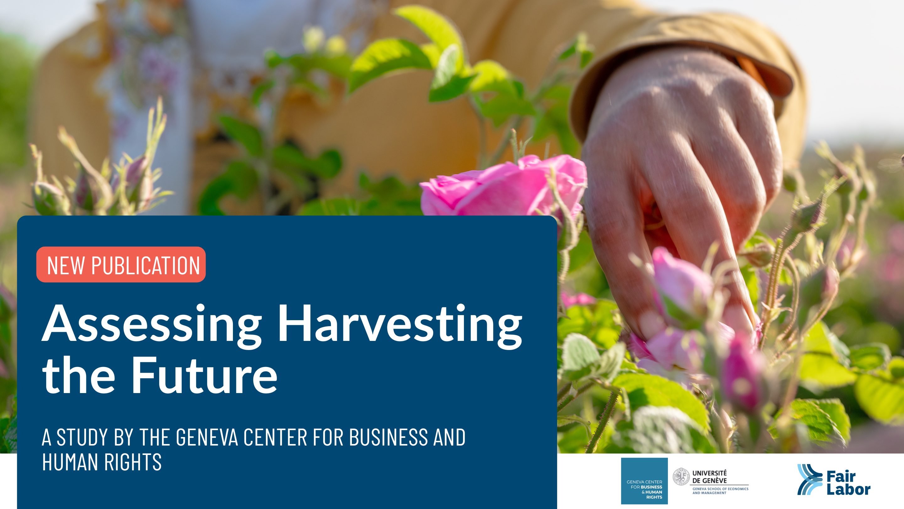 Assessing Harvesting the Future: Case study cover page
