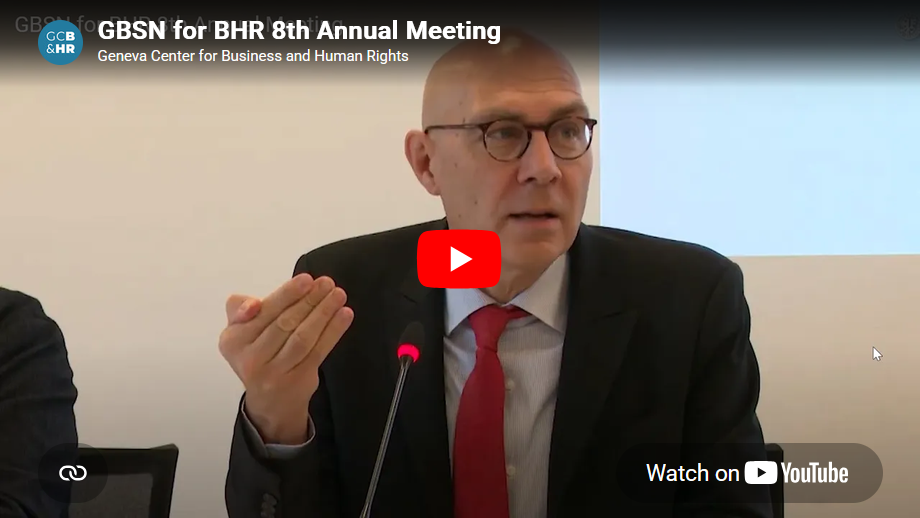 GBSN for BHR 8th Annual Meeting - Keynote Volker Türk OHCHR