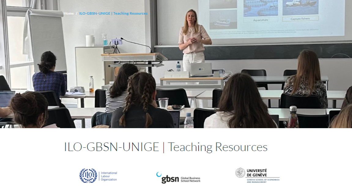 Printscreen of the teaching resources’ page on GBSN website
